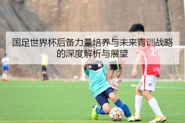 国足世界杯后备力量培养与未来青训战略的深度解析与展望